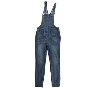 Madewell Skinny Overalls Small Blue Jansing Wash Stretch Denim Jean Coverall